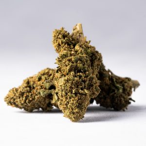Cheese GH