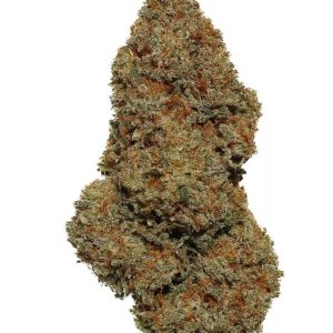 Pink Lady Glasshouse