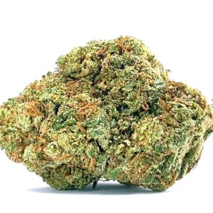 Blueberry
