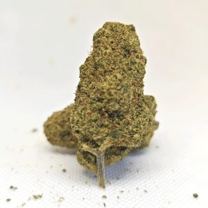 MAC 1 HIDROPONICO