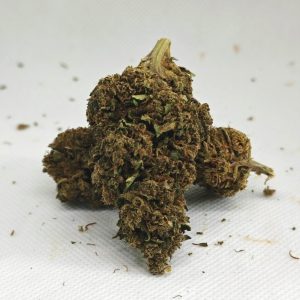 Green Therapy