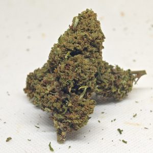 Exotic bud X10