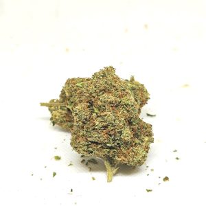 AK 47