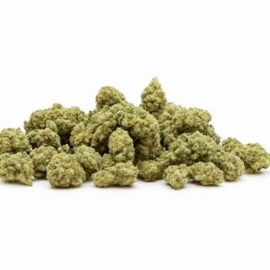 Critical Berry Hidro small buds