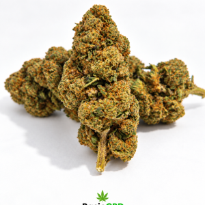 Candy Kush GH