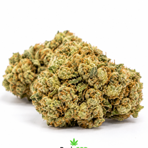 White Skunk