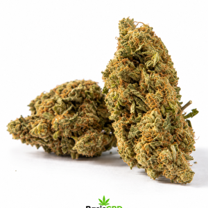 Amnesia Haze