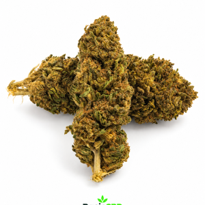 Pineapple GH